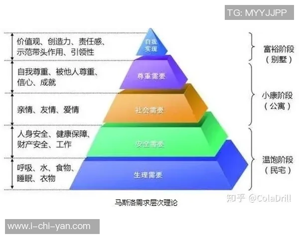 中美体育文化差异解析：价值观、习惯与发展路径的对比分析